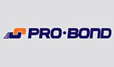 Логотип производителя паркетных напольных покрытий ProBond